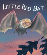 The seasons turn cold, and little 
red bat doesn’t know what to do. 
Should she stay or should she 
go? Find out in this tale of a 
young red bat’s first winter. 