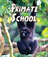 Gorillas using iPads, lemurs finger 
painting, squirrel monkeys blowing 
bubbles...these primates are pretty 
smart! Could you make the grade 
in Primate School? 