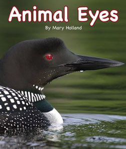 bookpage.php?id=AnimalEyes