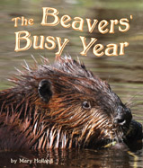 Do busy beavers ever take a 
break? This photographic journal 
documents a year as the beavers 
build their dam, raise their young 
and gather food before the winter 
months come again.