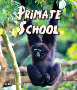 bookpage.php?id=PrimateSchool