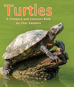 bookpage.php?id=TurtlesCC